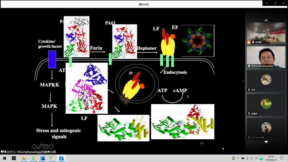 1597904583646534.jpg 图片3.jpg