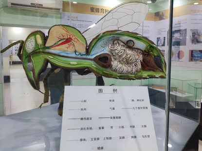 1719798976664125.jpg 图片15.jpg