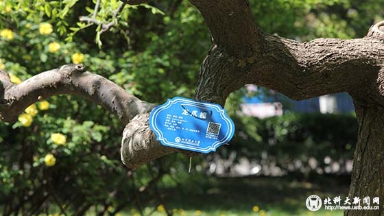 24d70044b3e28dd825ac355c1d536ac3.jpg 3.jpg