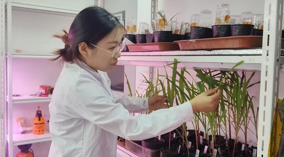 1729567275557861.png image.png