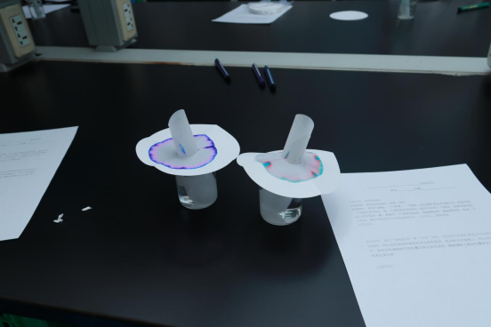 1682077055561997.png image.png