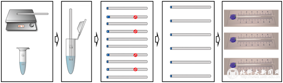 e8e139d96c867ead798dfe3bf7c167f1.png image.png